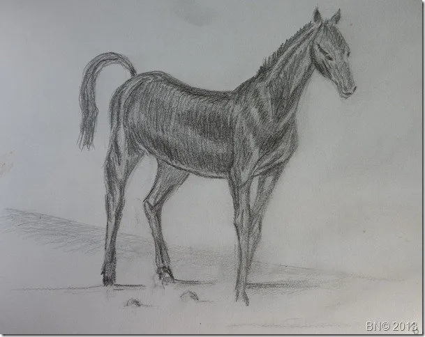 Cheval, dessin de Béhenne