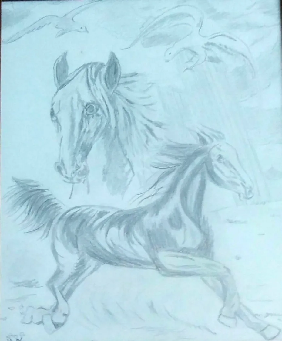 Chevaux au galop, dessin de Béhenne