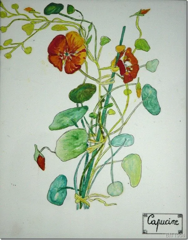 Dansons la capucine, huile de Béhenne