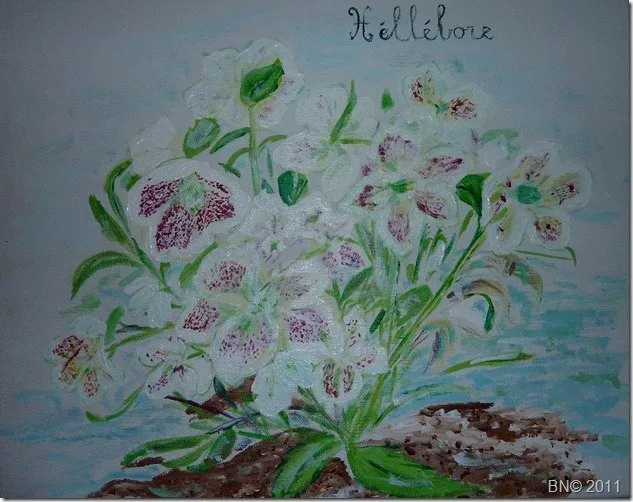 Héllébore, acrylique de Béhenne