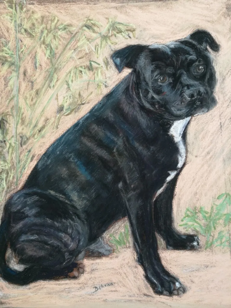 NINO, pastel de Béhenne