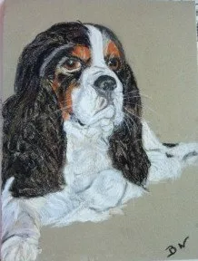 Oliver, pastel de Béhenne