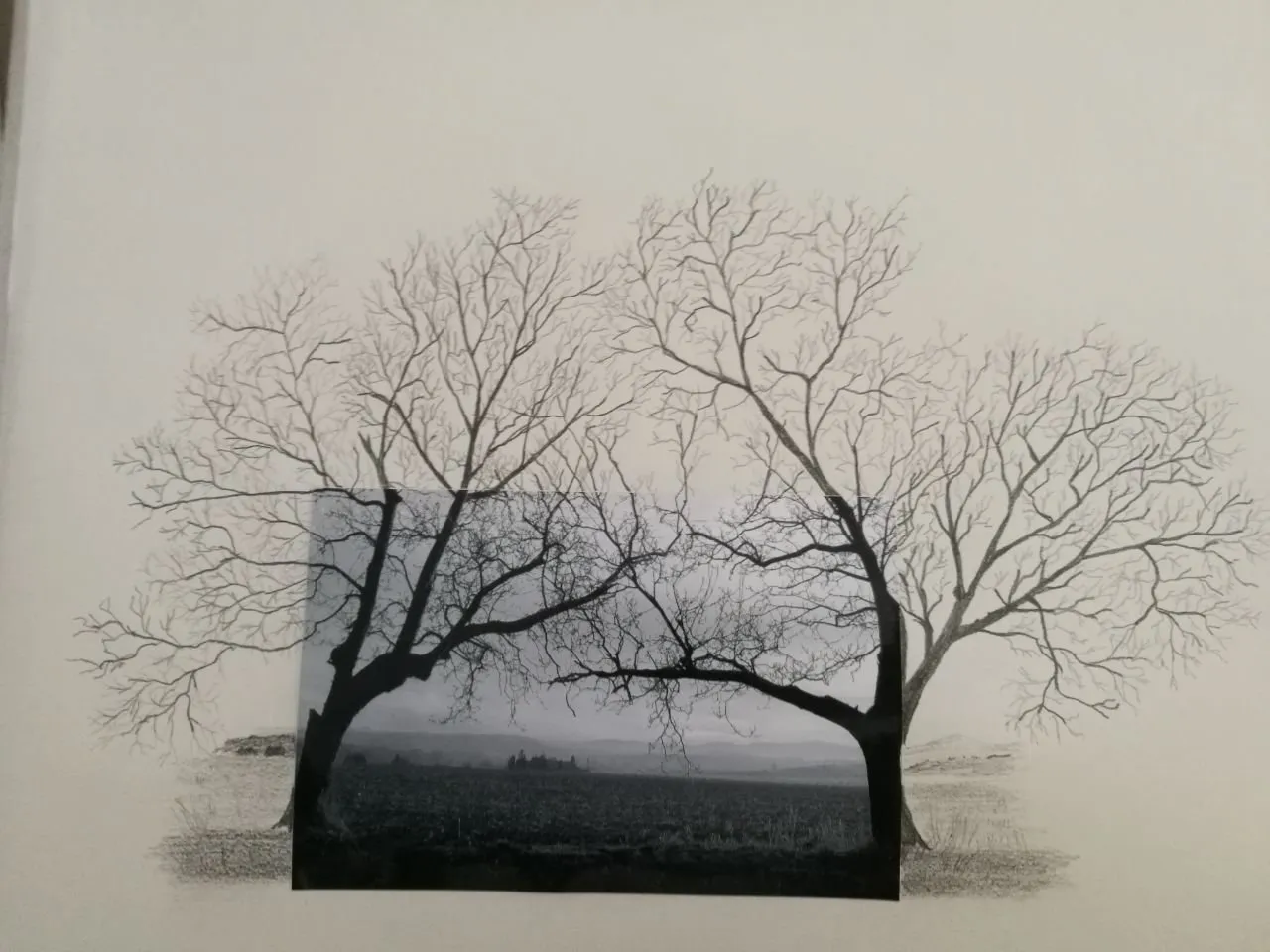 Photo dessin, dessin de Béhenne