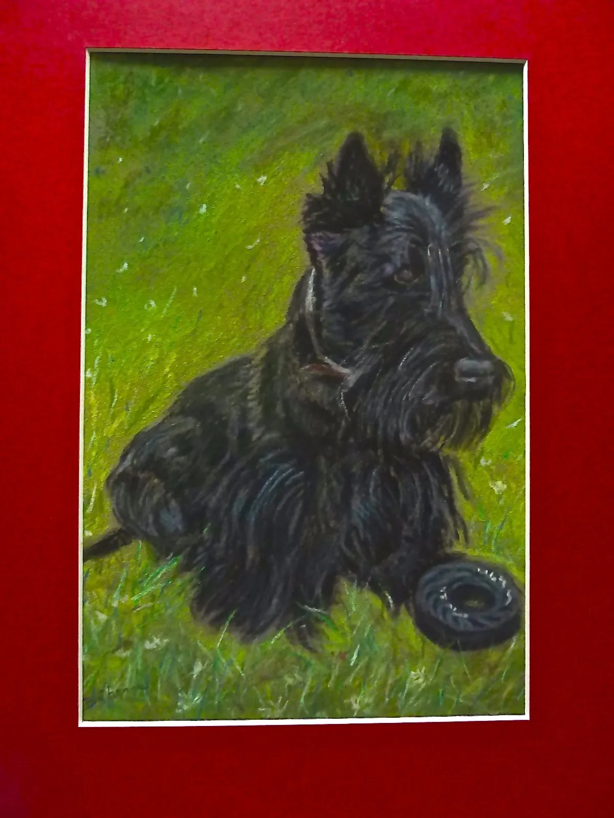 Scottish, pastel de Béhenne