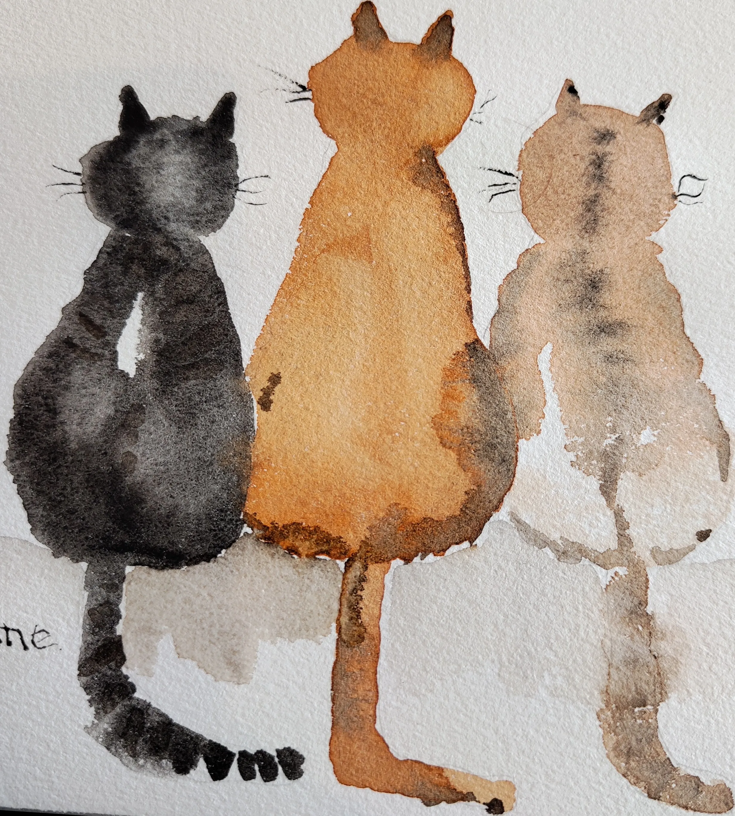 Triplette de chats, aquarelle de Béhenne