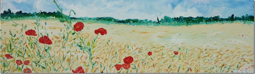 Coquelicots dans les blés
