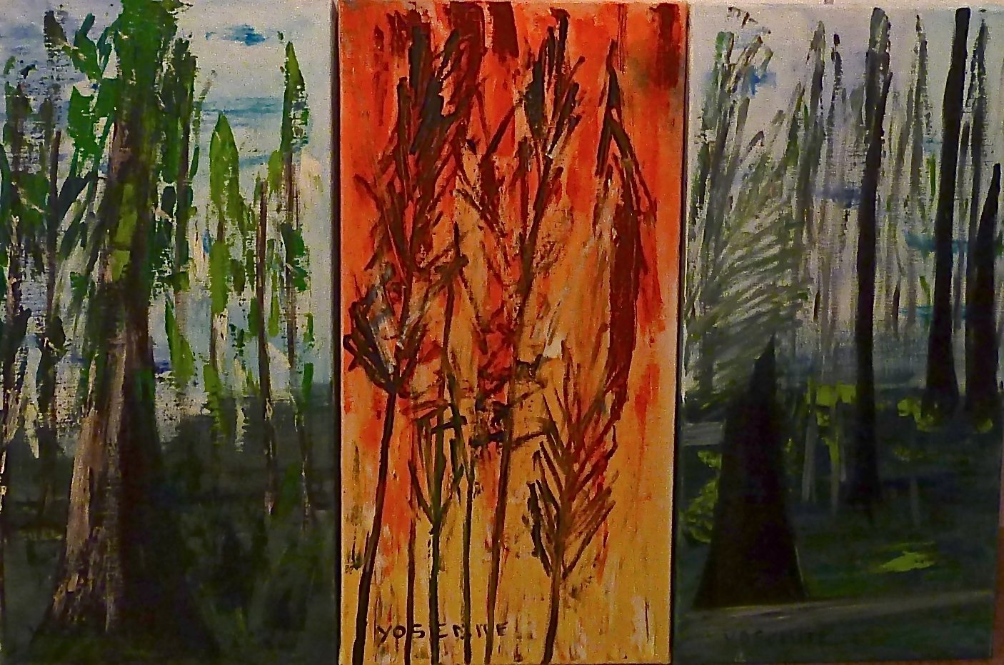 Yosemite park, 2013