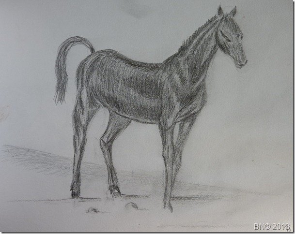 Cheval