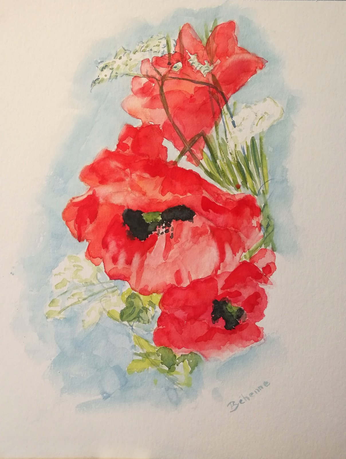 Coquelicots 3