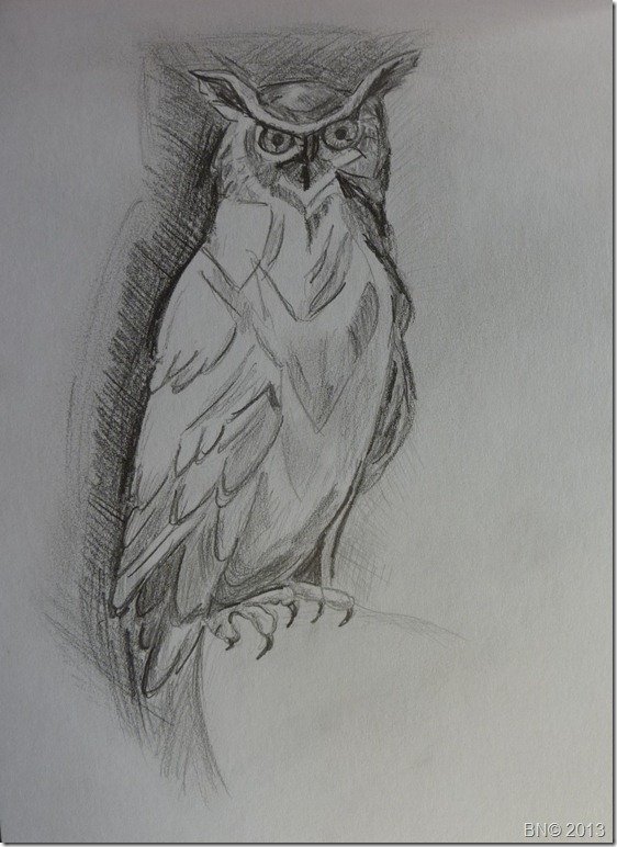 Chouette, un hibou