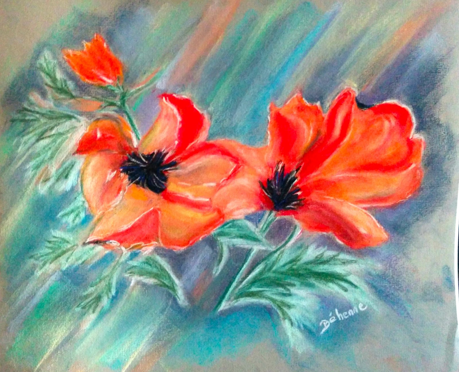 Coquelicots