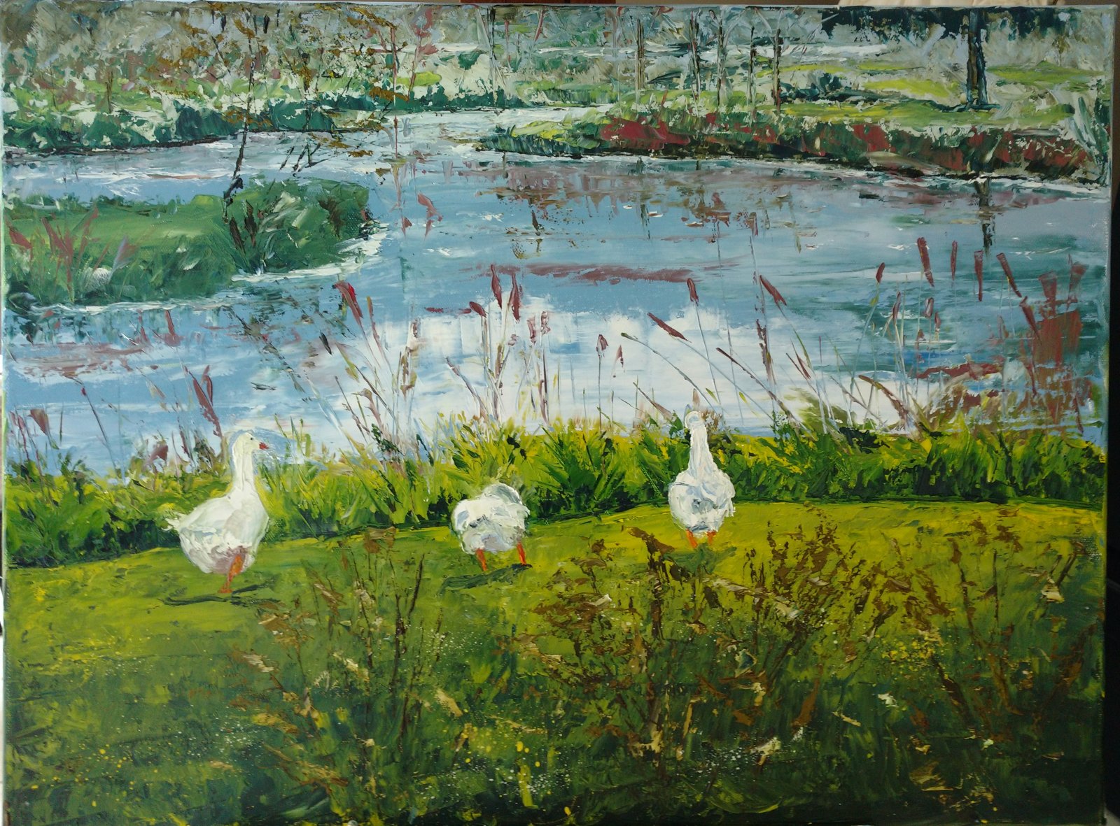 Les oies de la somme