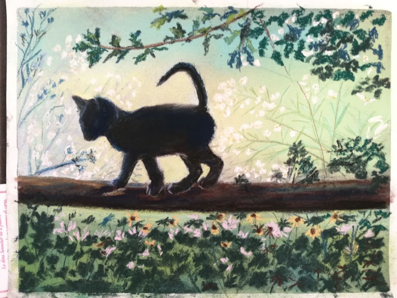 Pastel du petit chat