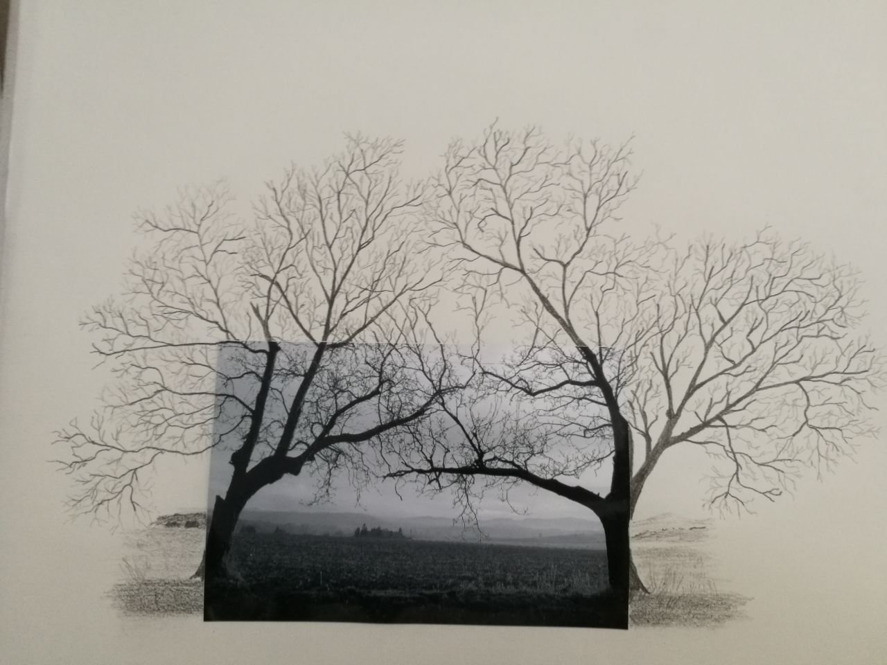 Photo dessin