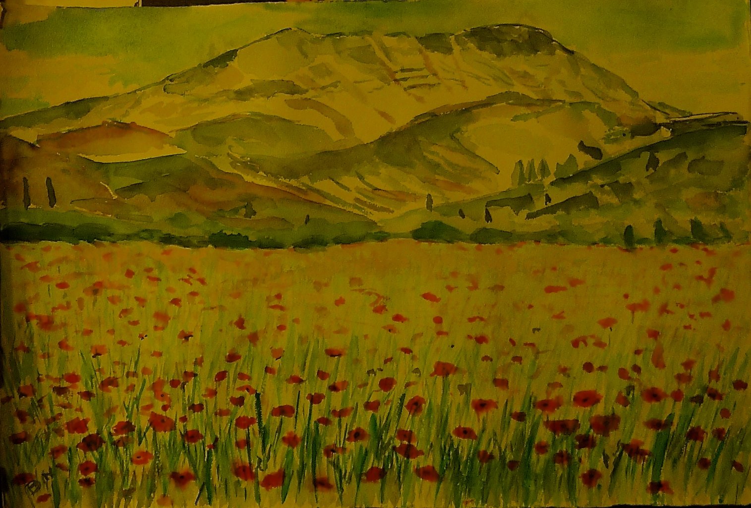 Coquelicots devant la Ste Victoire