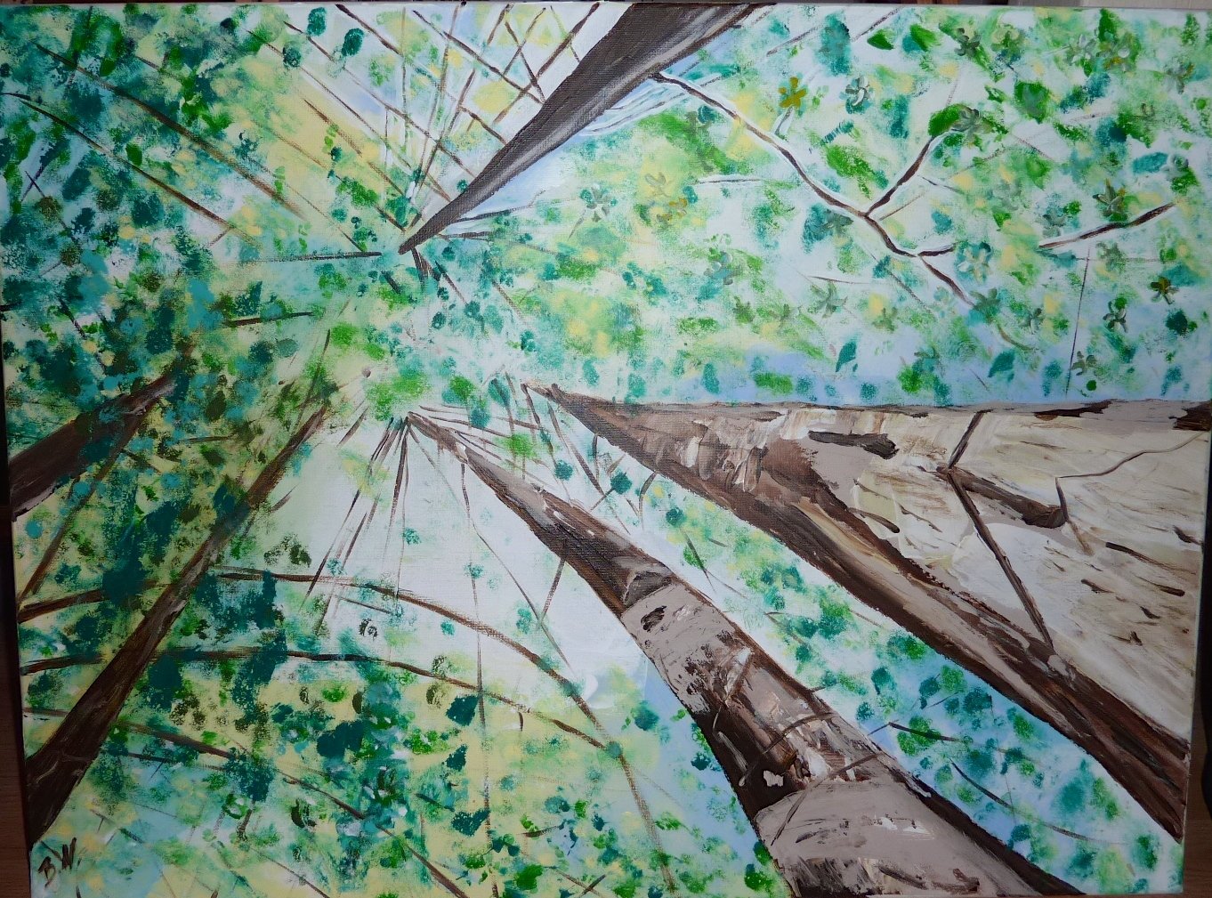 Les sequoias