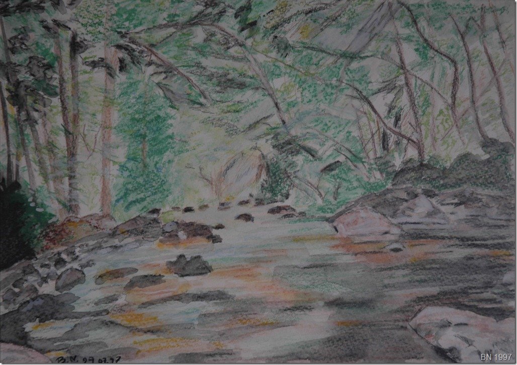 Rivière en sous bois