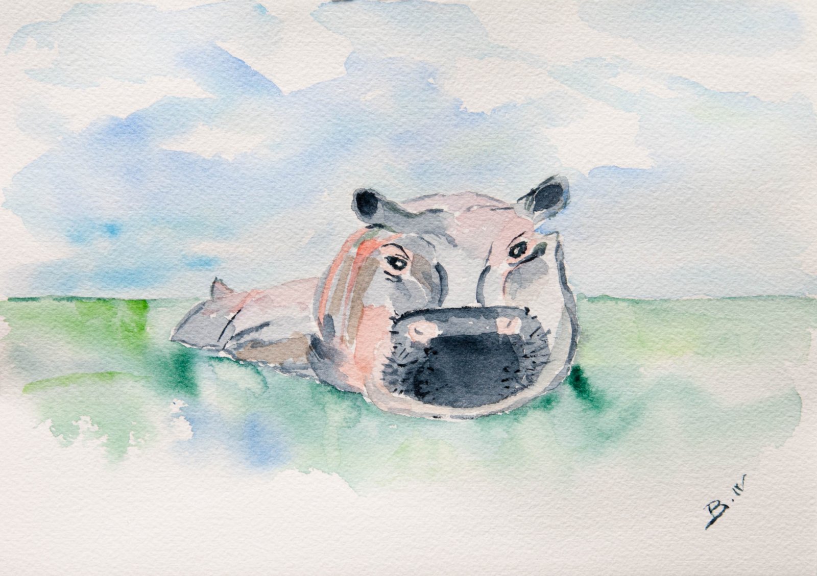 L'hippopotame du zoo