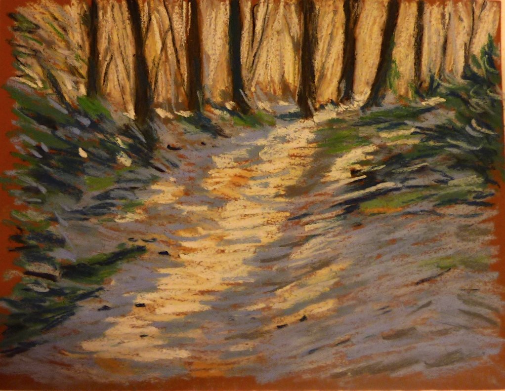 Lumières d'hiver dans la forêt