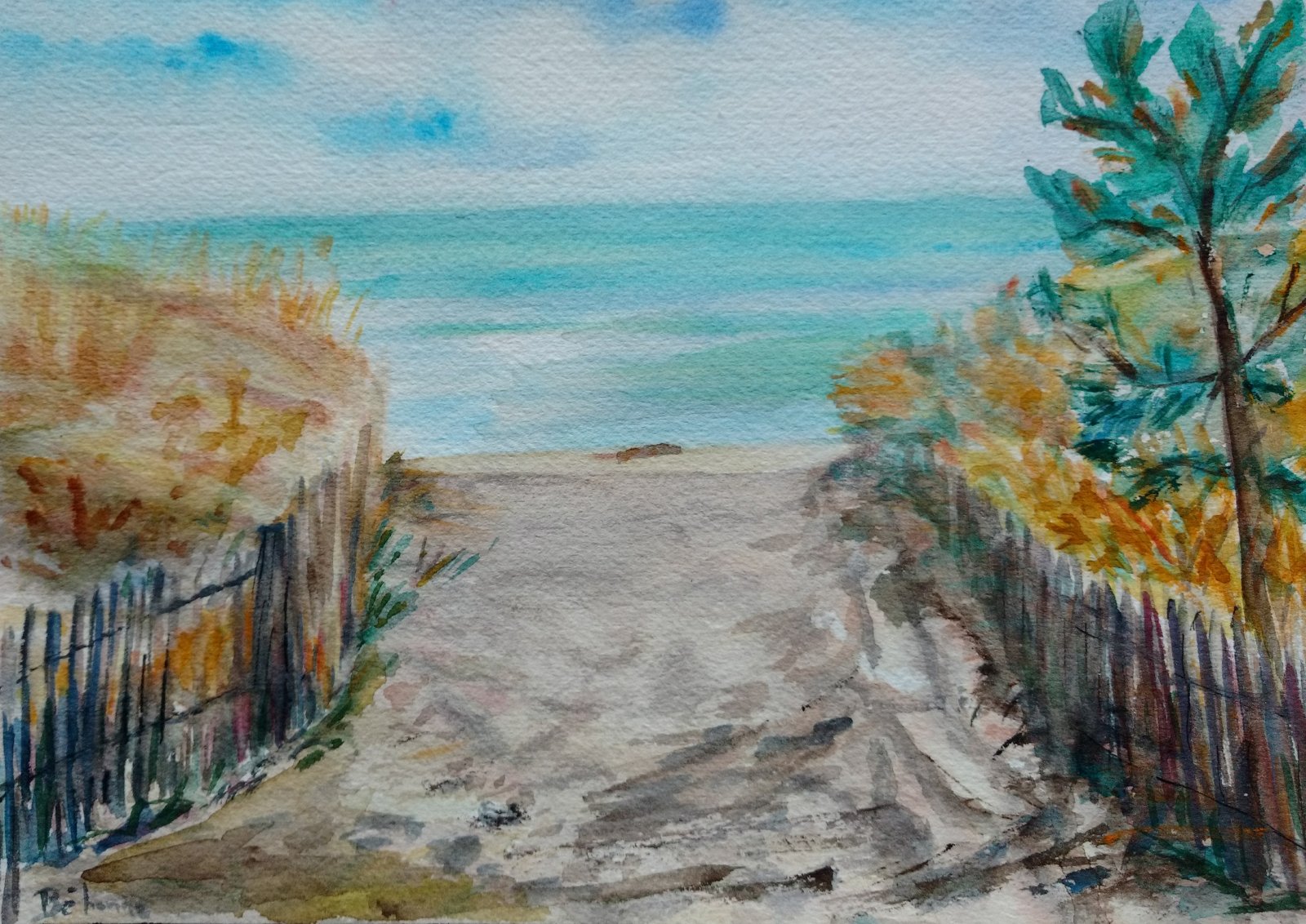Descente  à la plage