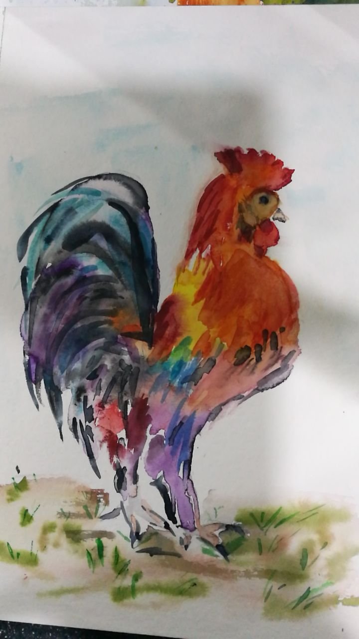 Le coq