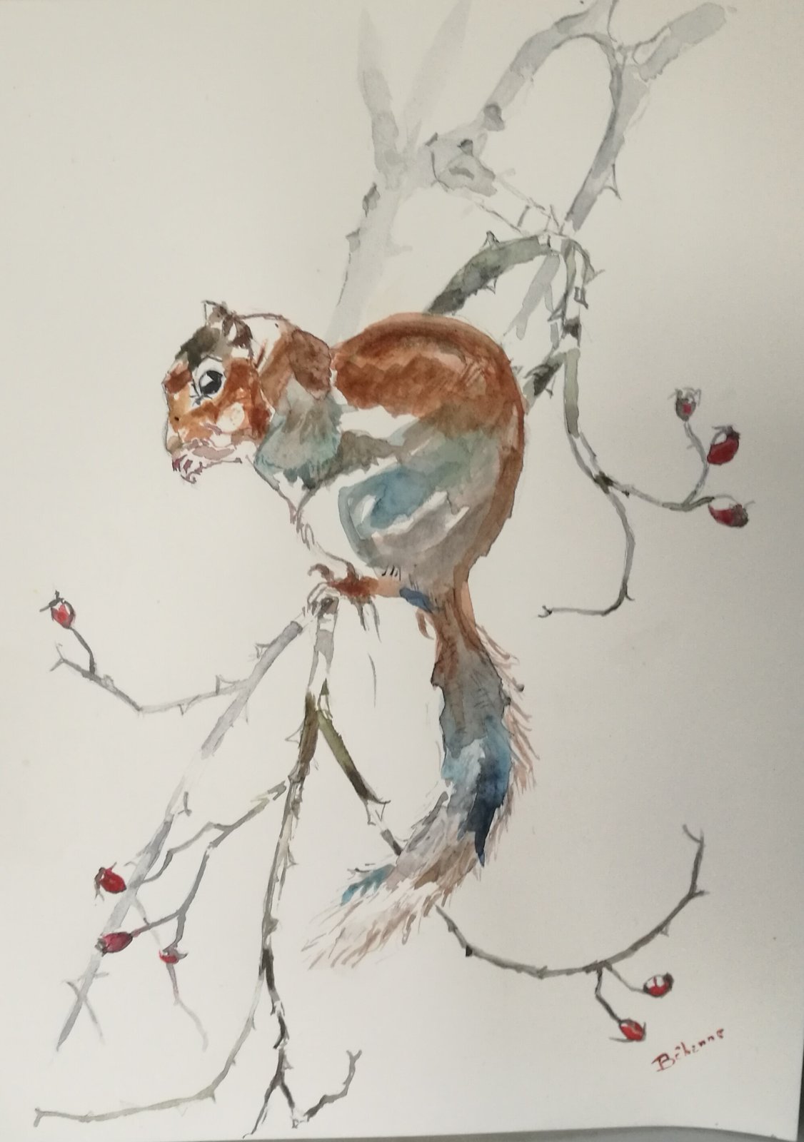Willy, L'écureuil
