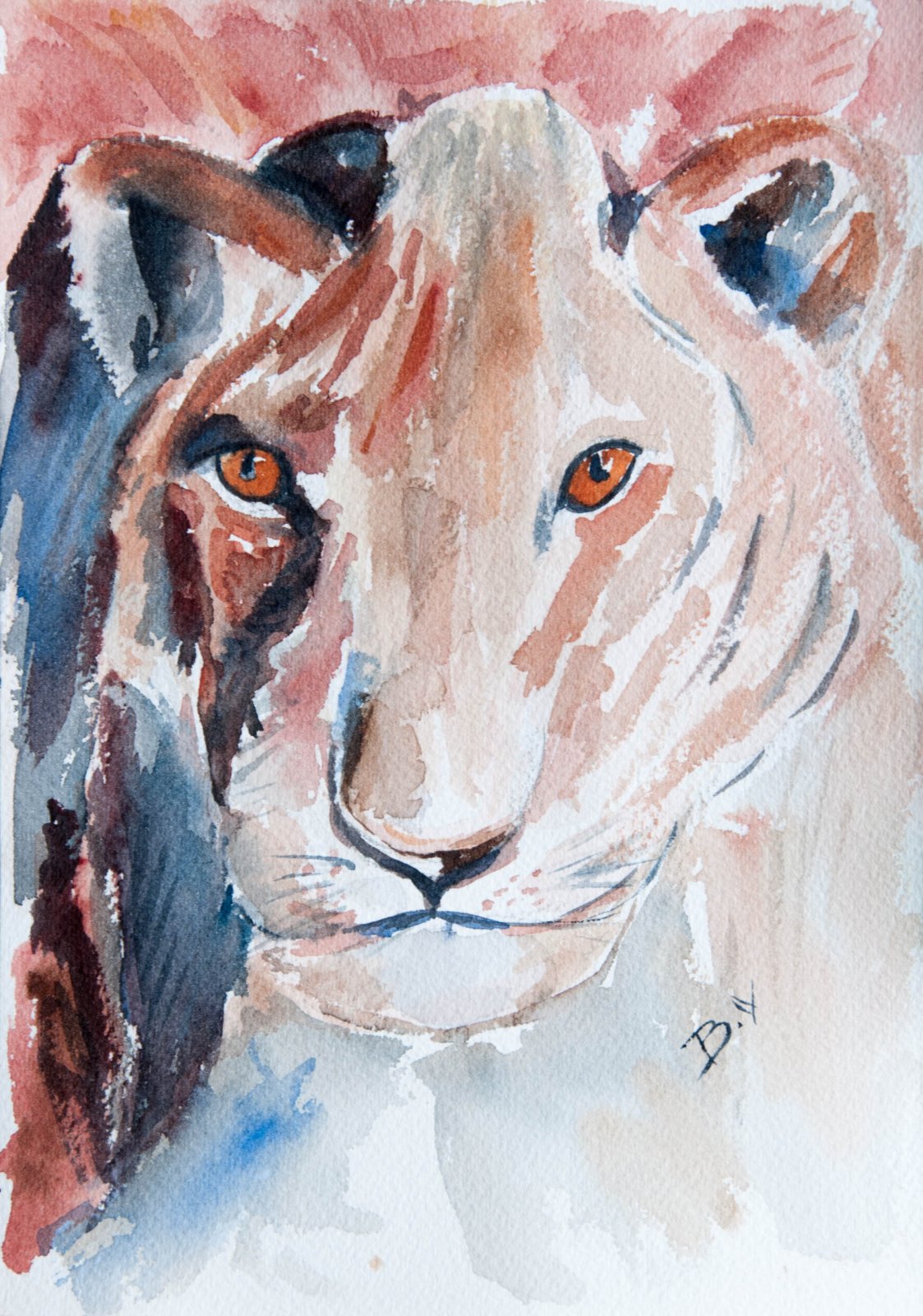 Lion