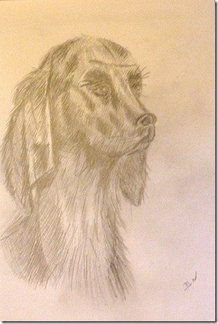 Le chien